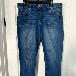 Democracy Parisa Skinny Jean